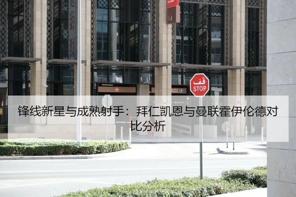 锋线新星与成熟射手：拜仁凯恩与曼联霍伊伦德对比分析