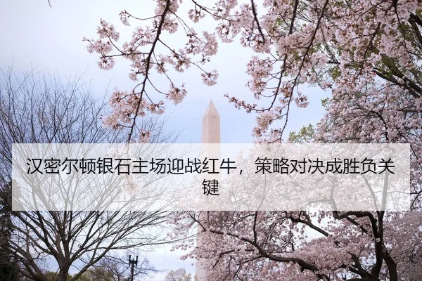 han-mi-er-dun-yin-shi-zhu-chang-ying-zhan-hong-niu-ce-lve-dui-jue-cheng-sheng-fu-guan-jian-2-246.jpg
