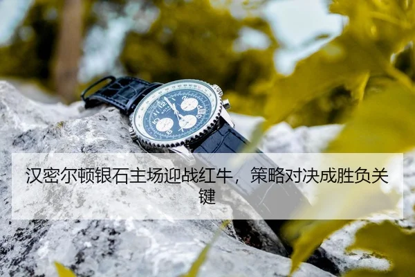 han-mi-er-dun-yin-shi-zhu-chang-ying-zhan-hong-niu-ce-lve-dui-jue-cheng-sheng-fu-guan-jian-3-630.jpg